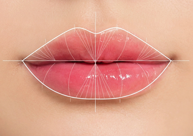 Lip Contour