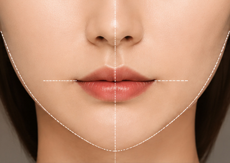 Lip Contour